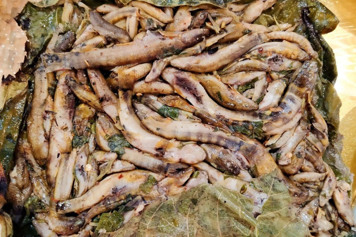 Baked Goby Fish Lai Chau Vietnam 